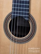 Tino Battiston ティノ・バティストン 2008年製 松・中南米ローズウッド 20フレット_3