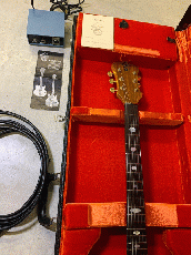 ALEMBIC MSG Series 1 Zebra Wood トップ　バック!1975年製_3