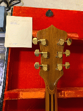 ALEMBIC MSG Series 1 Zebra Wood トップ　バック!1975年製_8