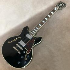 D'Angelico Premier Mini DC, Black_2