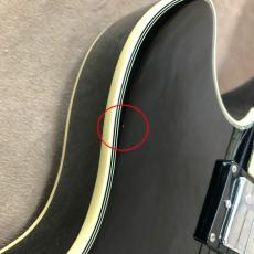 D'Angelico Premier Mini DC, Black_6