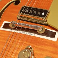 Gretsch G6120T-55 VS Vintage Select Edition '55 Chet Atkins_7