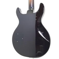 Wisdom DC5s / Crystal Burst_2