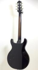 Wisdom DC5s / Crystal Burst_8