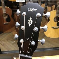 Taylor Custom GPe Lutz Spruce / Figured Urban Ash_3
