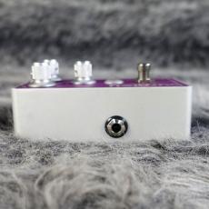 Bogner Burnley / Overdrive_5