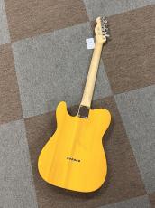 Fender Standard Telecaster, Maple Fingerboard, Black Pickguard, Butterscotch Blonde_3