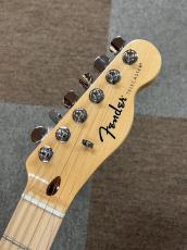 Fender Standard Telecaster, Maple Fingerboard, Black Pickguard, Butterscotch Blonde_4