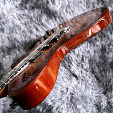 Godin xtSA Flame Lightburst【特価】_9