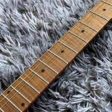 Bacchus TACTICS-STD/RSM S-SW -Global Series-【生産完了特価】_5