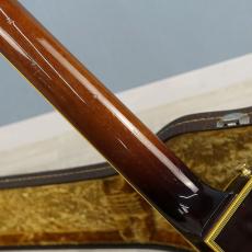 Navigator Les Paul Custom Type_8