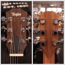 Taylor GS Mini-e Special Edition~Trans White~【限定モデル】_9
