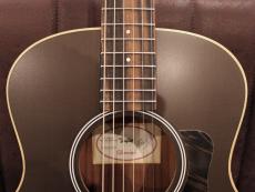 Taylor GS Mini-e Special Edition~Trans Black~【限定モデル】_3