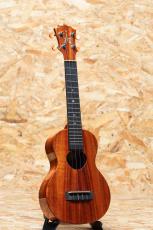 KoAloha KCM-00 Concert 2022_3