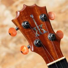 KoAloha KCM-00 Concert 2022_8