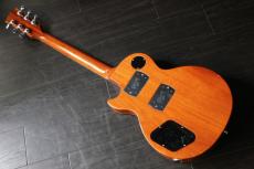 Gibson Les Paul Push Tone　_4
