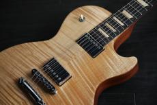 Gibson Les Paul Push Tone　_5