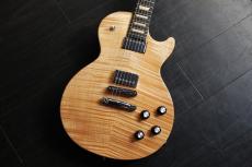 Gibson Les Paul Push Tone　_6