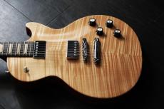 Gibson Les Paul Push Tone　_8