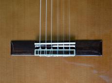 ARIA A-35CE_6