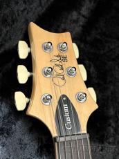 Paul Reed Smith [PRS] SE Custom 24 -Sapphire Fade- 【2025年製】【CTI H042429】【3.4kg】_4