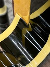 Fender Japan TL62B/VSP/MR -FSB (Faded 3 Tone Sunburst)- 2013年製【限定品】_6