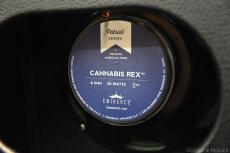 AKG Sound Design ~Custom Line~ Overdrive Reverb 22W Att Combo -Black Tolex & Diamond Grill Cloth-_10