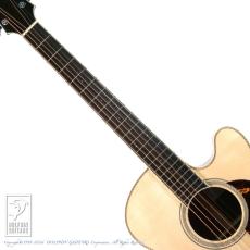 Santa Cruz F-Cutaway (Short Scale)_5