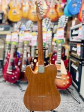 Nash Guitars T56GT -Gold Top- 2018年製【Made In USA】【Lollar P90】_4