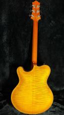 NIK HUBER Rietbergen -Faded Sunburst- 2024USED!!【当店カスタムオーダー品】【3.43kg】【ハイエンドフロア】_11