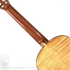 Fonzo Guitar EJ-13S_5