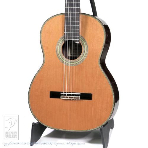 Fonzo Guitar EJ-13C