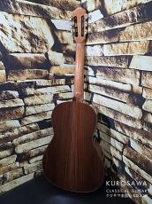 Juan Hernandez [ホアン・エルナンデス] Torres 松・マダガスカルローズウッド オールセラック 645mm 【日本総本店2F 在庫品】_7