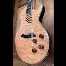 Aria Pro II PE-Classic_4