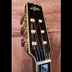 Aria Pro II PE-Classic_5