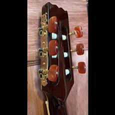 Aria Pro II PE-Classic_6