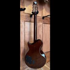 Aria Pro II PE-Classic_7