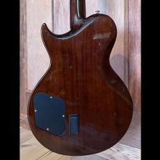 Aria Pro II PE-Classic_8