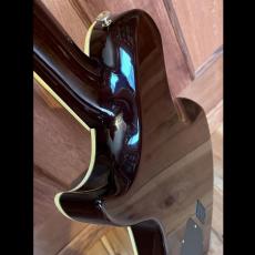 Aria Pro II PE-Classic_9