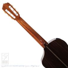 ASTURIAS Solo Classico Vivo CC_8