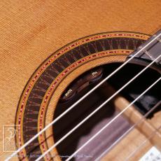 ASTURIAS Solo Classico Vivo CC_14