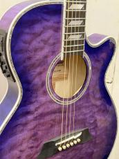 Takamine 	『オーダー受付中』TSP178AC ~Custom Violet with Avalon~_3