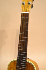 Leilani Concert_6