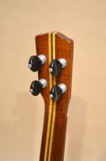 Leilani Concert_11