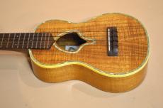 Leilani Concert_12
