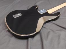 Sterling by MUSIC MAN S.U.B. SeriesRay4_4