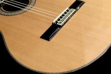 ASTURIAS CUSTOM 杉【お取り寄せ商品】【無償弦高調整】【池袋店在庫品】_5