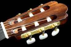 ASTURIAS CUSTOM 杉【お取り寄せ商品】【無償弦高調整】【池袋店在庫品】_8