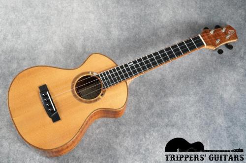 J.Rieck Tenor Ukulele (2015)