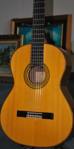 FERNANDES 長末晴高　HARUTAKA NAGASUE　№10　オール単板仕様